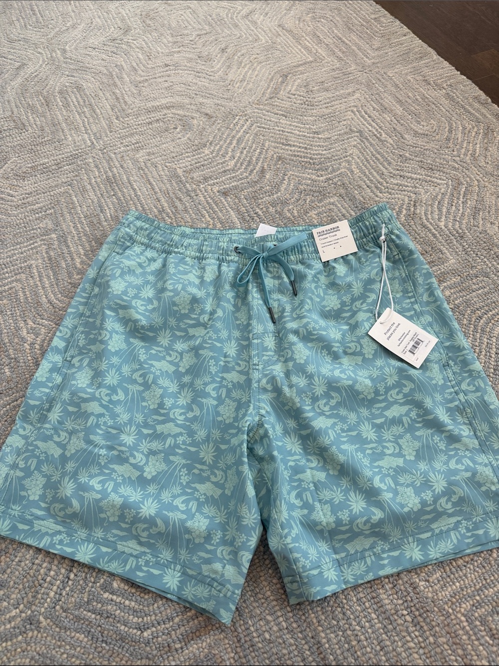 Fair harbor swim trunk